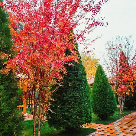Hotel Grace Garden Kum エクステリア 写真